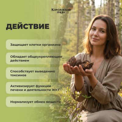 АПИ-БЕФУНГИН, 60 капсул